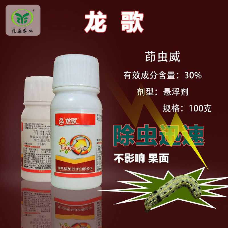 龙歌