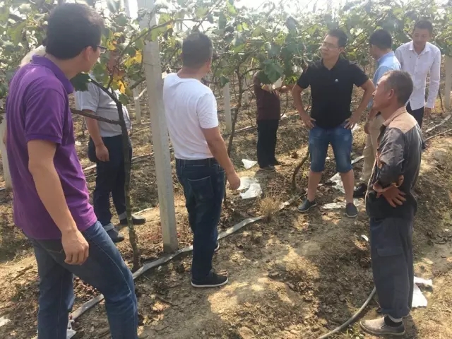 良益农业种植技术推广会