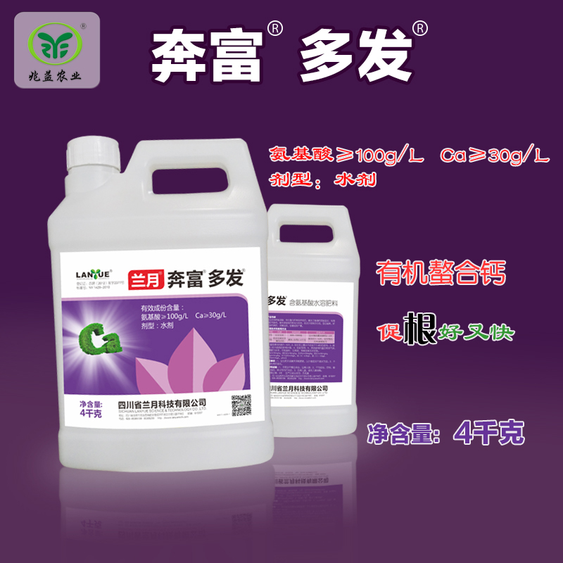 兰月奔富多发