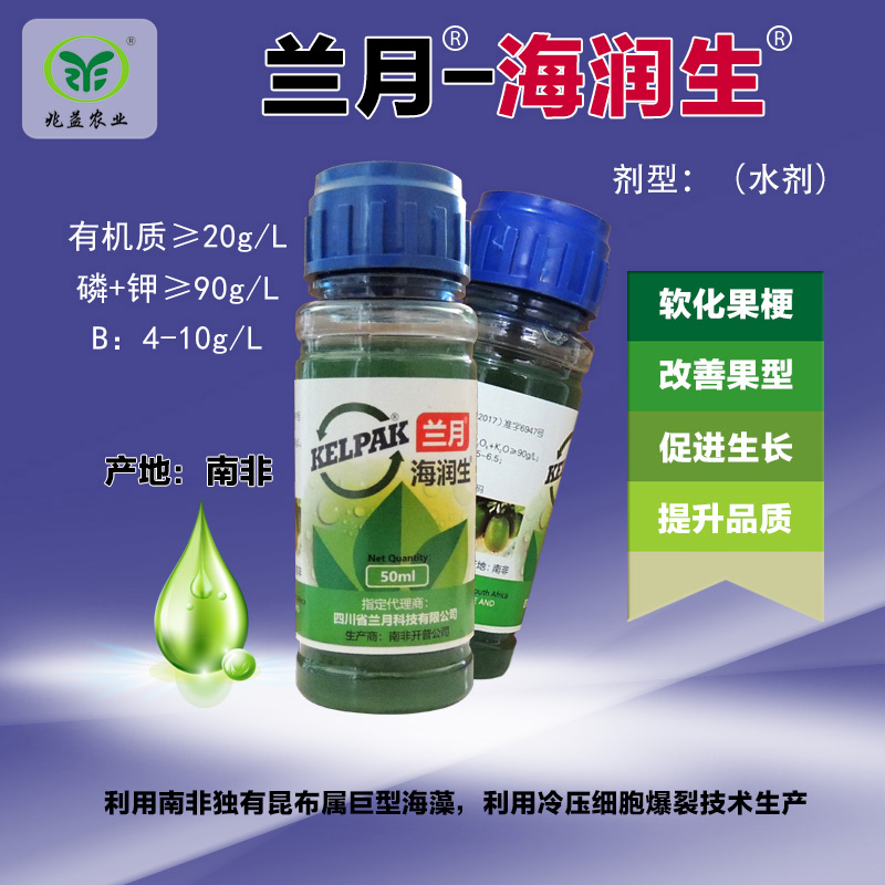 兰月海润生小瓶