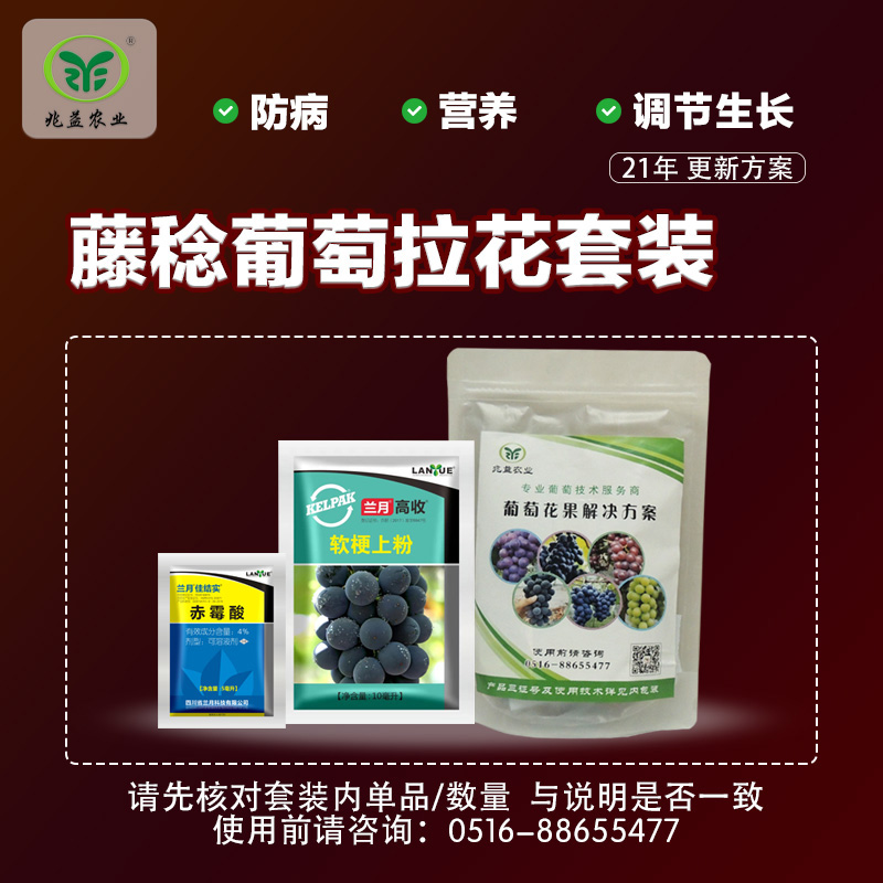 藤稔葡萄拉花套装