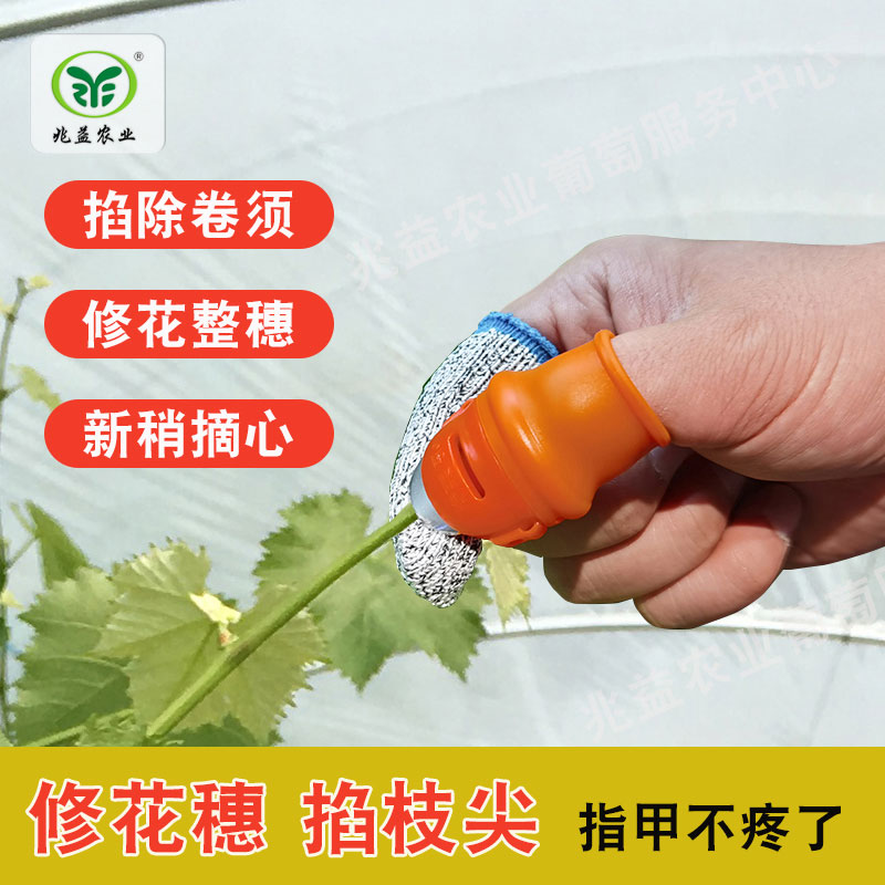 葡萄掐摘神器