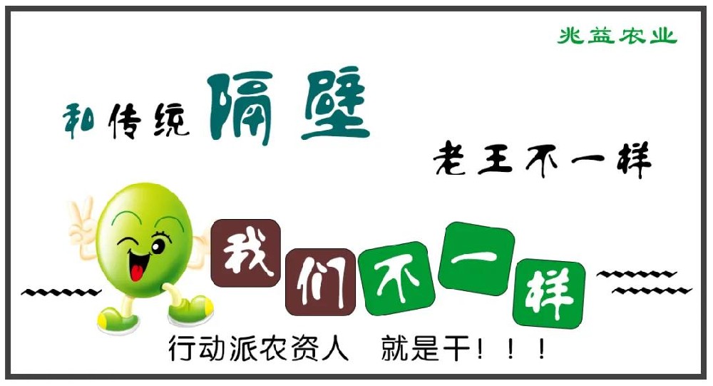 种葡萄 找兆益 I 行动派 I 技术推广