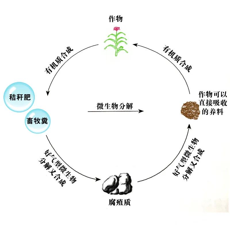 1687609622966328.jpg 2.jpg