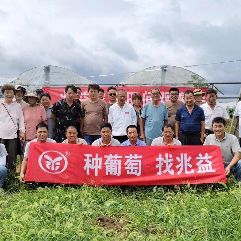 2024年兆益农业夏季葡萄观摩会圆满结束！