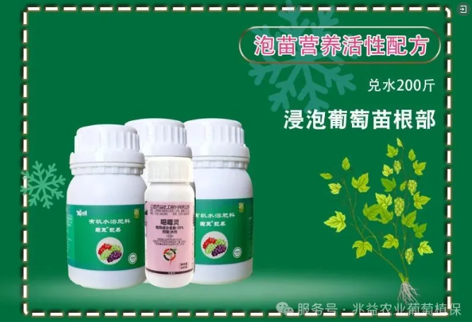 1772441218650227.jpg 002.jpg