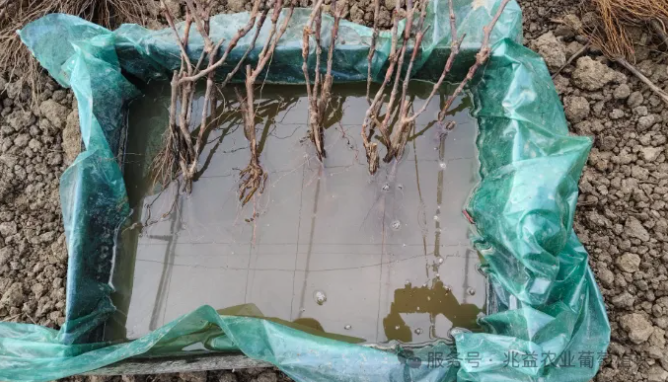 1772441230110240.jpg 003.jpg