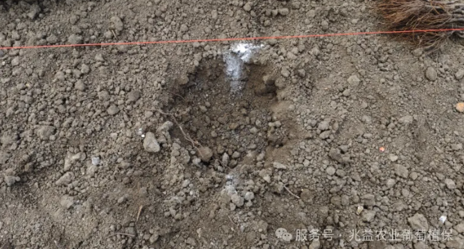 1772441262415816.jpg 004.jpg