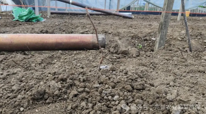 1772441409189652.jpg 006.jpg